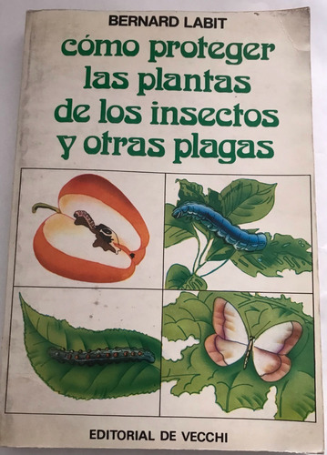 Proteger Las Plantas De Los Insectos Y Otras Plagas