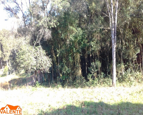 Imagem 8 de 8 de Chacara - Ch00024 - 69487829