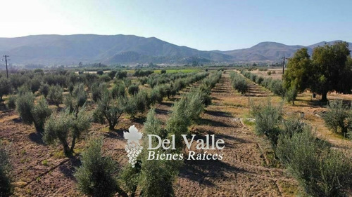 Imagen 7 de 7 de 2.8 Hectáreas Cerca De Vinícola El Cielo En Valle De Guadalu
