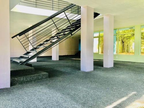 Alquiler O Venta De Local Comercial Punta Del Este