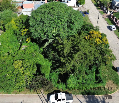 Terreno En El Pueblo De Torres.