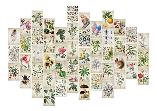 50pcs Vintage Posters For Room Aesthetic, Botanical Wall Col