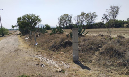 Terreno En Temascalapa, Edo. Méx. Sup. 19 Hectáreas
