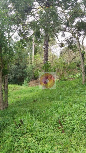 Imagem 30 de 30 de Chácara Com 3 Dormitórios À Venda, 12300 M² Por R$ 350.000,00 - Avencal - Mandirituba/pr - Ch0008
