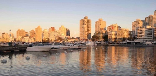 Imagen 23 de 30 de Apartamento Estudio Zona Puerto De Punta Del Este - Punta Del Este Peninsula