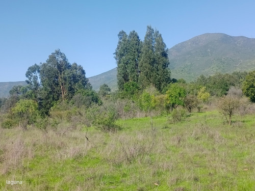 Vendo Terreno De Aprox. 10 Ha, En El Espino, Pucalán