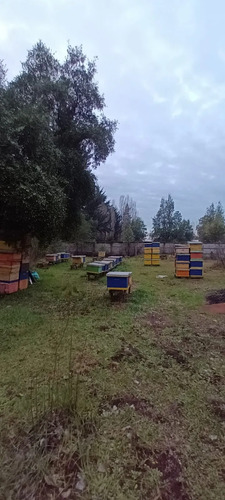 Se Vende Hermosa Parcela, De 5000 Mts 2, Parcela 51, Sector 