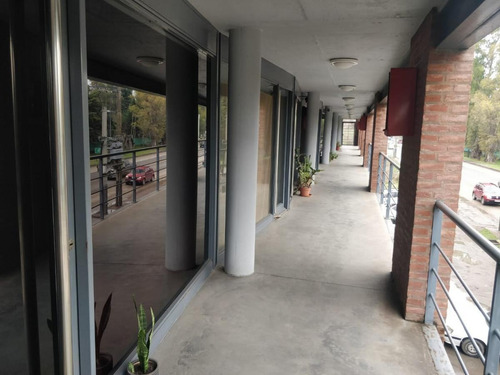 Imagen 3 de 11 de Oficina/ Departamento En Venta En Apartamentos Del Campus