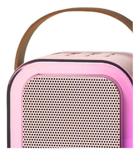 Mini Del Karaoke Con El Micrófono, 2 Micrófono Rosa