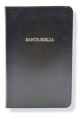 Imagen 5 de 9 de Nvi Biblia Compacta Letra Grande Negro Piel Con Indices