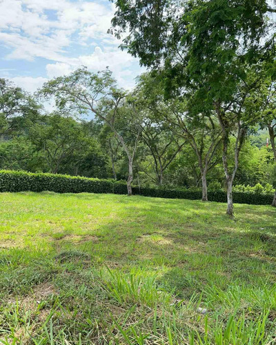 Lote En Venta En Km 41- Caldas (279057670).