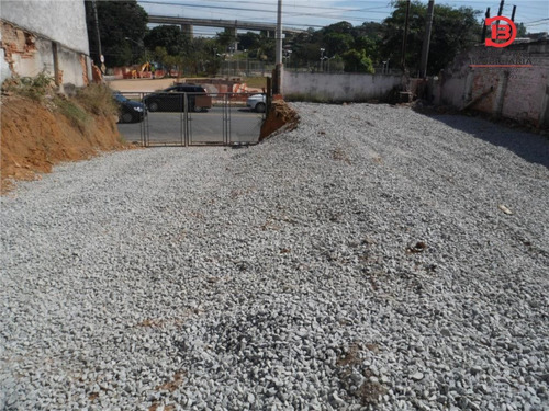 Imagem 6 de 7 de Terreno - Vila Carmosina - Ref: 846 - L-846