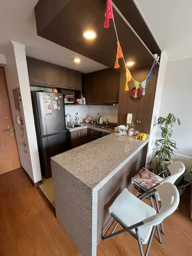 Arriendo Departamento En Concepción (91027)