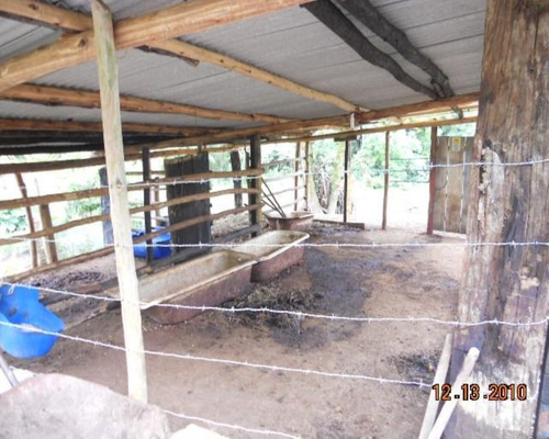 Imagem 14 de 30 de Fazenda Em Juquitiba; Fazenda À Venda Em Juquitiba Sp - 241 - 32982716