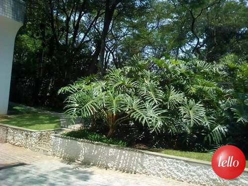 Imagem 27 de 29 de Apartamento - Ref: 237598