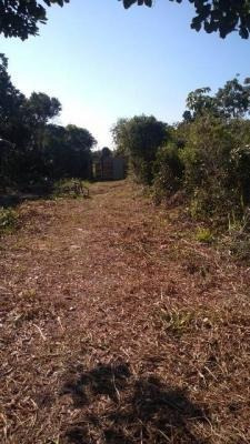Imagem 3 de 4 de Terreno No Litoral Com 275 M² Em Rua De Terra, Em Itanhaém