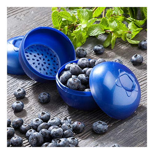 Cajas Bento Hutzler Berries, Tamaño Único, Arándanos Para Ll