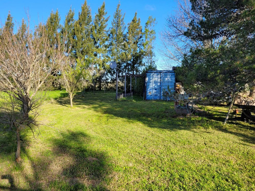Imagen 12 de 14 de Linda Chacra De 4 Ha Muy Bien Ubicada Con Casa Y Contenedor