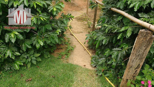 Imagem 29 de 30 de Chácara Com 03 Dormitórios À Venda, 7000 M² Por R$ 450.000 - Zona Rural - Pinhalzinho/sp - Ch0217