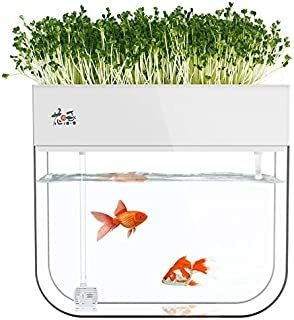 Sistema De Cultivo De Plantas De Tanque De Peces Acuapónico 