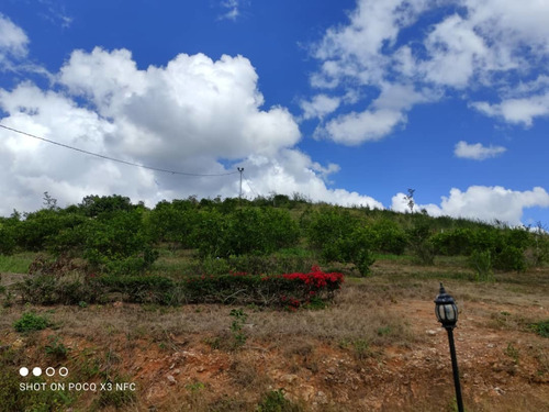 Imagen 4 de 28 de Venta De Hermosa Finca En El Estado Lara