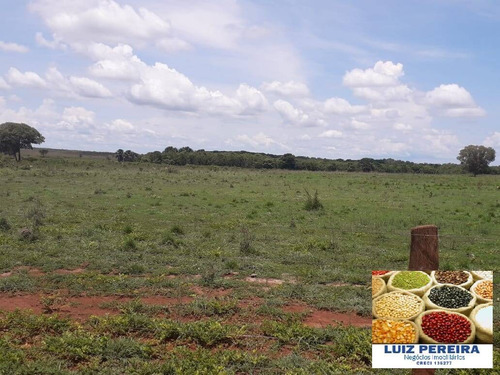 Imagem 2 de 15 de Fazenda À Venda Em Peixe - To - De 200 Alqueirões (dupla Aptidão) - 1721