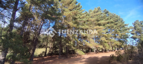 Casa 180 M2 - Terreno 11.200 M2 - Los Pinares De Algarrobo
