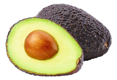 Árbol De Aguacate Hass De La Mejor Calidad, 1.30 Mts