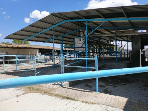 Rancho En Venta Cerca De Polotitlán Querétaro - Precio De Remate