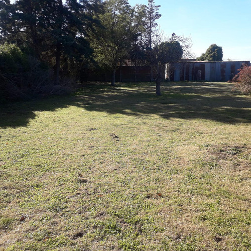 Casa En Venta - 3 Dormitorios 1 Baño - Cochera - 1200mts2 - Coronel Dorrego