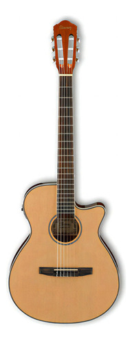 Guitarra Electroacústica Ibañez Aeg, Natural Aeg8tne Nt