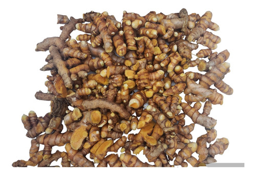 Açafrão Orgânico Fresco- Curcuma 2 Kg