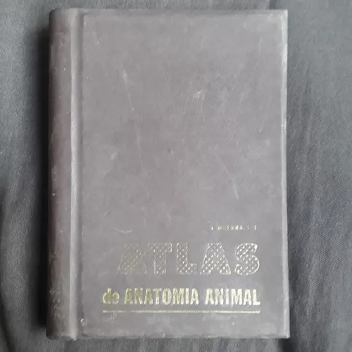 Atlas De Anatomia Animal V. Muedra, S.j.