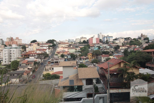 Imagem 6 de 15 de Casa À Venda No Alto Caiçaras - Código 318508 - 318508