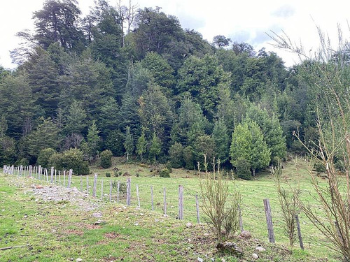 Terreno Villa Amengual 0,58 Ha