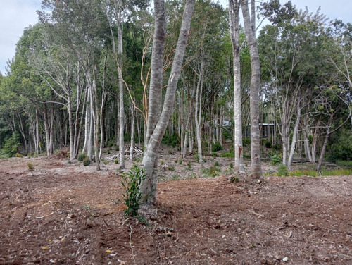 Parcela En Condominio Los Arrayanes