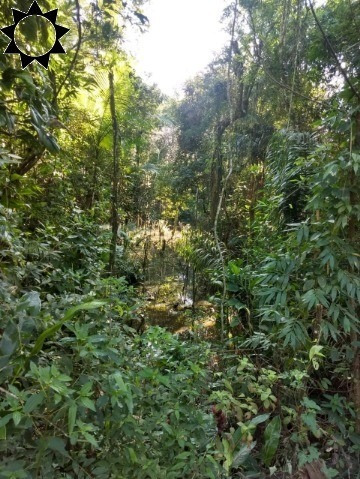 Sitio Iguape - St00023