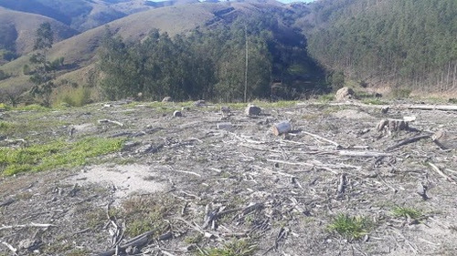 Imagem 5 de 17 de Linda Sitio Em Caçapava Com Ótimo Acesso A Via Dutra - Ar0010