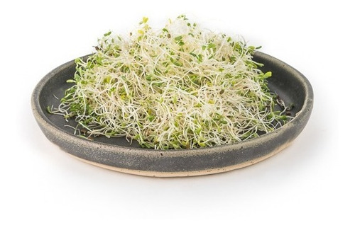 Semilla De Alfalfa Para Germinar Y Sembrar Germinado 100 Gr
