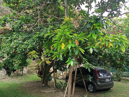 Imagen 6 de 14 de Granja En Venta Carretera Duaca Aroa