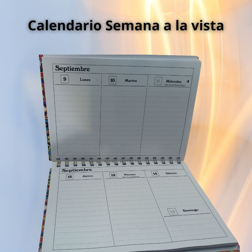 Imagen 5 de 8 de Agenda Docente Primaria 2 Cursos Plus