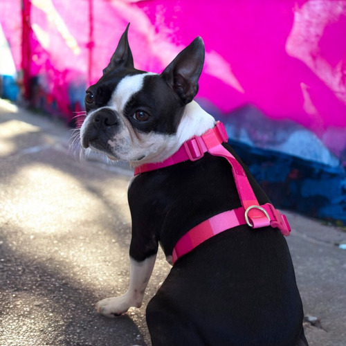 Pretal H Arnes Regulable Reforzado Perro Fucsia L
