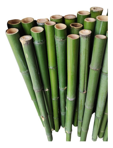 20 Varas De Bambú Natural Jardin 75 Cm Largo / 5 Cm Grosor
