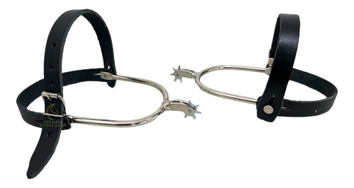 Conjunto Esporão 7 Pontas Com Fivela Para Sintos Caltry Top