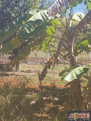 Imagem 12 de 15 de Terreno À Venda, 3000 M² - Centro - Itapeva/mg - Ai17864