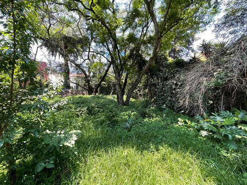 Imagen 8 de 10 de Excelente Terreno En Las Águilas