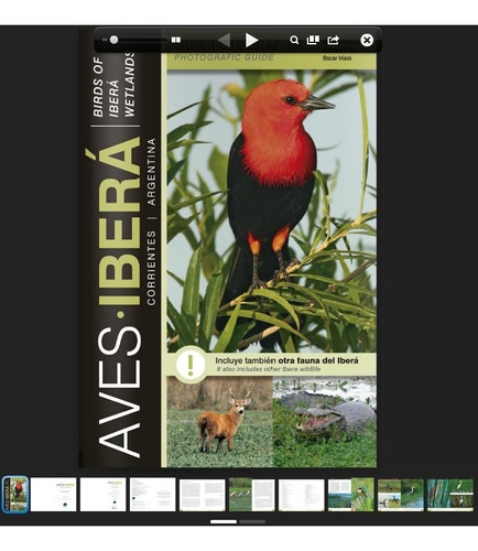 Libro Guia Fotografica Aves Ibera