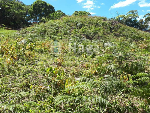 Imagem 21 de 26 de Chácara À Venda Em Canelinha/sc - 1026c