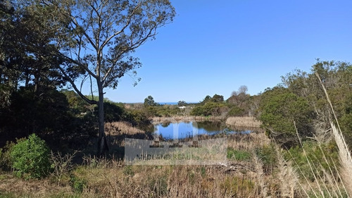 Imagen 4 de 4 de Venta Hermosa Chacra Con Tajamar Y Vista Al Mar