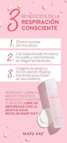 Agua Micelar (micellar Water) Mary Kay.